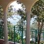 Private House - Neutral Bay