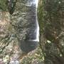 Falls Forest Retreat