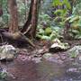 Falls Forest Retreat