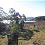 Morton National Park