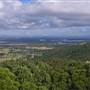 Forster and surrounds