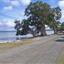 Forster and surrounds