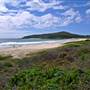 Forster and surrounds