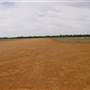 Gilgandra Aerodrome