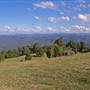Griffiths Lookout, Dorrigo