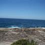 McKillop Park