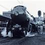 Heritage Steam Train Tours 3801