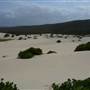 Killick Beach & Sand Dunes - Hat Head National Park
