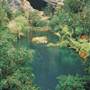 Jenolan Caves