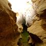Jenolan Caves