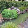 Japanese Edogawa Gardens