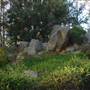 Japanese Gardens Cowra