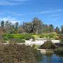 Japanese Gardens Cowra