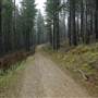 Jenolan State Forest