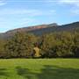 Kangaroo Valley Vistas