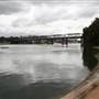 King George Park and Rozelle Foreshore