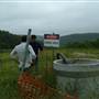 Kimbriki Resource Recovery Centre