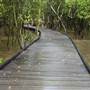 Kooragang Wetlands - Hunter Wetlands National Park