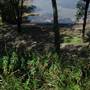 Lake Macquarie