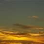 Leeton Shire