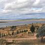Lake Burrendong