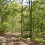 Lane Cove National Park