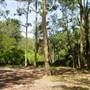 Lane Cove National Park