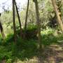 Lane Cove National Park