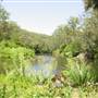 Lane Cove National Park