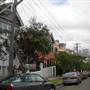 Lavender Street, Lavender Bay