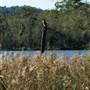 Myall Lakes National Park