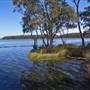 Myall Lakes National Park