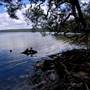 Myall Lakes National Park