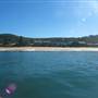 Pearl Beach