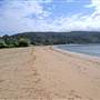 Patonga