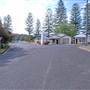 Patonga