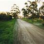 Raymond Terrace File 1