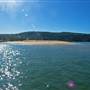 Patonga