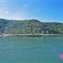 Patonga