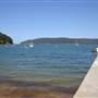 Patonga