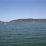 Patonga