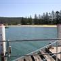 Patonga