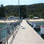 Patonga