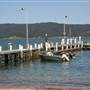 Patonga