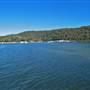 Patonga