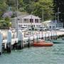 Patonga