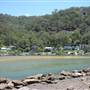 Patonga