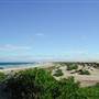 Stockton Dunes - Worimi National Park