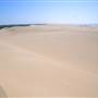 Stockton Dunes - Worimi National Park