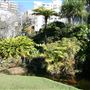 Arthur McElhone Reserve